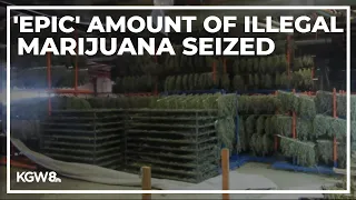 Oregon State Police seizes 500,000 pounds of marijuana in Jackson County