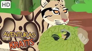 Aventuras com os Kratts | Criaturas Selvagens Que você Deve estar Ciente