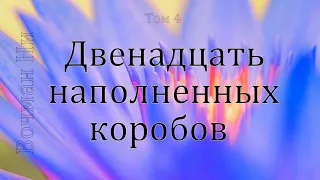 "Двенадцать наполненных коробов" Вочман Ни 4 том