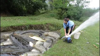 Fishing Techniques, Catching Fish With Pump, Catching A Lot Of Fish In The Wild Lake