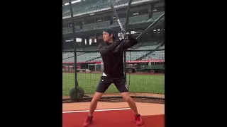 Shohei Ohtani practice mode