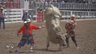 Cheyenne Frontier Day 2019 - Bull Riding Rides, Wrecks and Saves