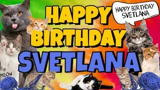 Happy Birthday Svetlana! Crazy Cats Say Happy Birthday Svetlana (Very Funny)