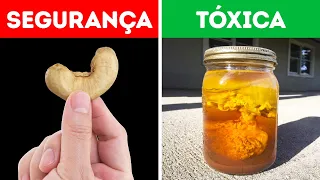 100 coisas proibidas em todo o mundo que o deixarão surpreso!