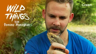 Free The Lizard! | Wild Things with Dominic Monaghan | Laos (Season 1 Episode 5)