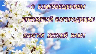 С Благовещением Пресвятой Богородицы!🙏Благих вам вестей! Мира и Добра!🕊