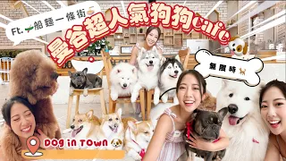 曼谷超人氣狗狗cafe🐶Dog in Town無限時任影任摸🐾超多品種狗狗🐕一次過滿足所有願望|🛶挑戰船麵一條街|喪食$4港紙船麵🍜|Day 4 Ep.1📍曼谷5日4夜行程🗺️✈️|YanYan陳欣茵