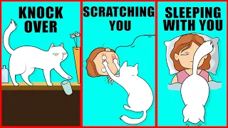 5 Weird Cat Behaviors Explained: Understand Your Cat Better