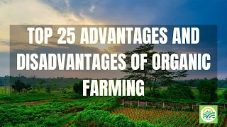 TOP 25 ADVANTAGES AND DISADVANTAGES OF ORGANIC FARMING | BENEFITS OF ORGANIC FARMING