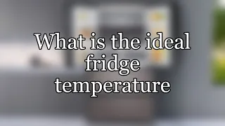 What is the ideal fridge temperature