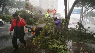 Тайфун «Майсак» разрушает Приморье