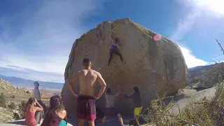 Ashley Sends Checkerboard V7 - Buttermilks, Bishop