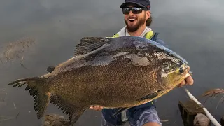 Fishing For Lake MONSTERS! | Florida Freshwater Invasive Slam