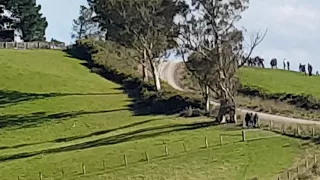 Hayden padden 2018 otago Rally