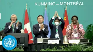 Nations agree to ‘historic’ deal to protect a third of the world’s biodiversity | COP15 Wrap