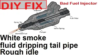 Diagnose rough idle, white smoke, fuel dripping from tail pipe. this fixed my problem