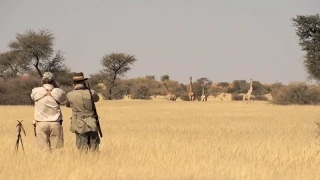 Plainsgamejagd in der Kalahari