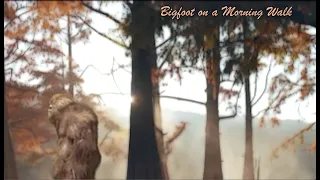 Bigfoot on a Morning Walk