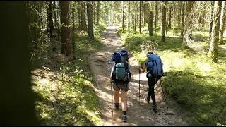 Hiking & Wildcamping in the Black Forest | ZweiTälerSteig part 1