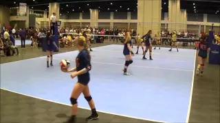 Haley Sutton 2019 Setter