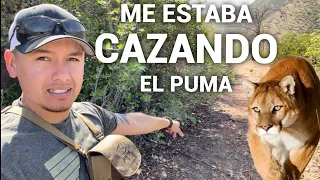 Buscando Al Oso, Y Me Encuentro Con El Puma