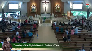 LIVE | May 28, 2024 | 5 p.m. - Tuesday of the Eighth Week in Ordinary Time