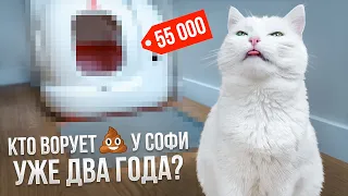 PURA MAX Petkit: ОБЗОР НА АВТОМАТИЧЕСКИЙ ЛОТОК / КАК МЫ ЖИЛИ БЕЗ НЕГО🙀?