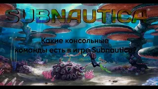 ||КОНСОЛЬНЫЕ КОМАНДЫ ДЛЯ ИГРЫ SUBNAUTICA||Я покажу основные консольные команды||