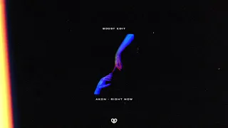 Akon - Right Now (B00ST VIP Edit) [DropUnited Exclusive]