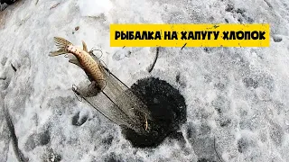 РЫБАЛКА НА ХАПУГУ. ЛОВ ЩУКИ НА ХАПУГУ ХЛОПОК.