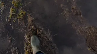 walking in wetland extreme wetland and mud sound effects