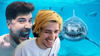 xQc Reacts to Would You Swim With Sharks For $100,000? | MrBeast