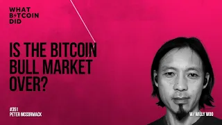 Is the Bitcoin Bull Market Over? With Willy Woo