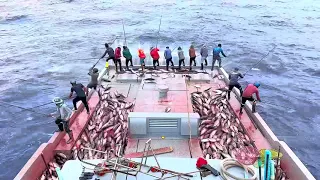 FISHING | MADLDIVES | TUNA