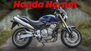 Honda Hornet 600 - Идеальный дешман на повседнев?