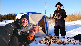 В этой речке хариус кишит Три дня в доме на льду Заяц угодил в котелок, а Степаныч сделал харюжарь