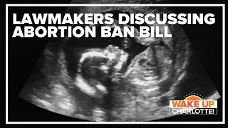 SC lawmakers hear first public testimony on total abortion ban bill