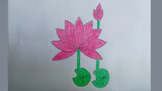 How to draw water Lily step by step#easydrawing সহজে শাপলা ফুল আঁকা