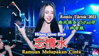 南北组合 - 忘情水 Wang Qing Shui【Ramuan Melupakan Cinta】DjPad仔 抖音版 Remix Tiktok 2022 - Translated Indonesia