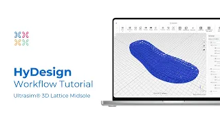 Creating a 3D Lattice Midsole for 3D Printing - HyDesign
