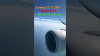 Boeing 777-300ER on Duty - General Electric GE90 115B - Turkish Airlines - Crusing Altitude