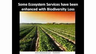 Losing Biodiversity: Is it important if we don't see it?.mp4