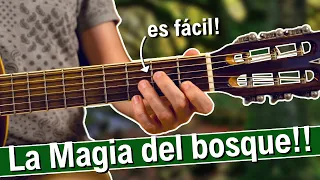 Sonidos del Bosque con Guitarra Acústica