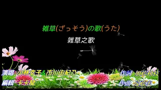 【雑草の歌】市川由紀乃 + 小林幸子//日文/漢譯/中譯//LIVE版