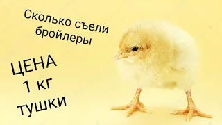 КАК "ПРАВИЛЬНО" СЧИТАТЬ СЕБЕСТОИМОСТЬ БРОЙЛЕРА!!! Себестоимость 1кг мяса Бройлера. Сколько съели