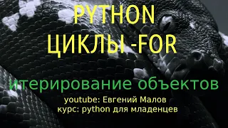 Цикл for в python