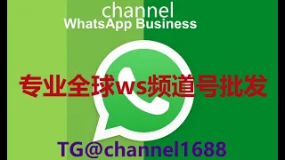 WhatsApp协议号_WhatsApp频道号_WhatsApp频道哈希号_channel-商业版_WhatsApp商业号_WS协议号_WS频道号_WSchannel-商业版_WS商业号_WS个人号
