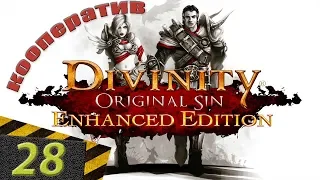 Очарованная орчиха | Divinity: Original Sin Enhanced Edition #28