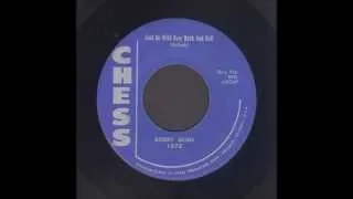 Bobby Dean - Just Go Wild Over Rock And Roll - Rockabilly 45