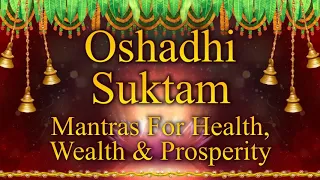 Learn to Chant Oshadhi Suktam | Best Rigveda Chanting Of Vedic Mantras by Dr V Ragavedra Sarma